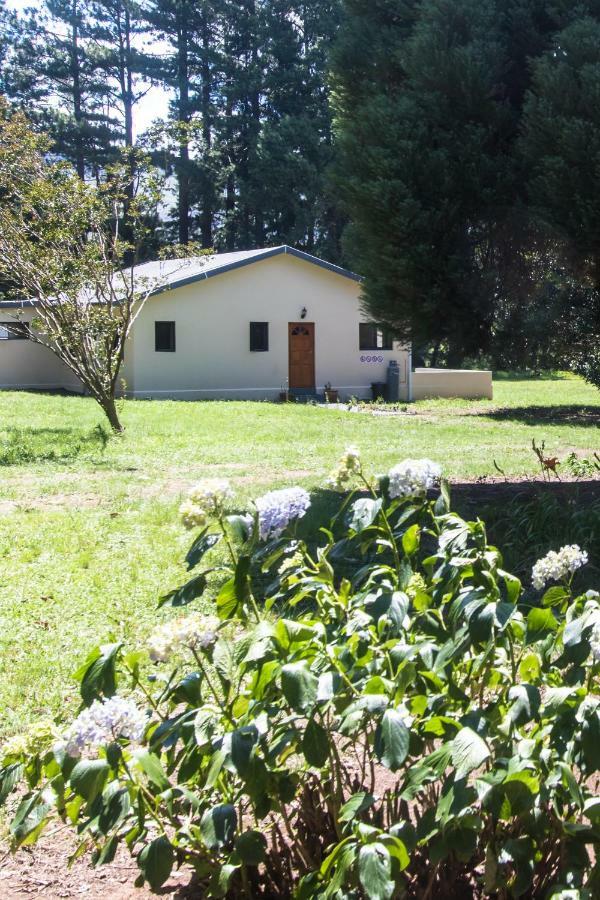 Kamberg Valley Hideaway Rev Estates Eksteriør bilde